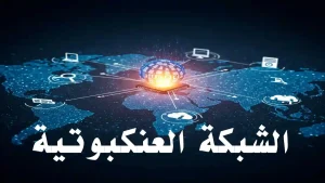 رسم بياني توضيحي للشبكة العنكبوتية يتضمن أجهزة متصلة وسيرفرات