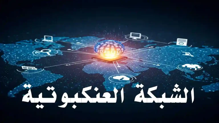 رسم بياني توضيحي للشبكة العنكبوتية يتضمن أجهزة متصلة وسيرفرات