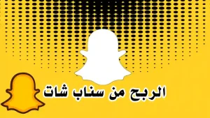 شاشة سناب شات تعرض تحليلات الأرباح والمحتوى