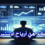 رسم بياني يوضح معدل أرباح Google AdSense حسب نوع المحتوى